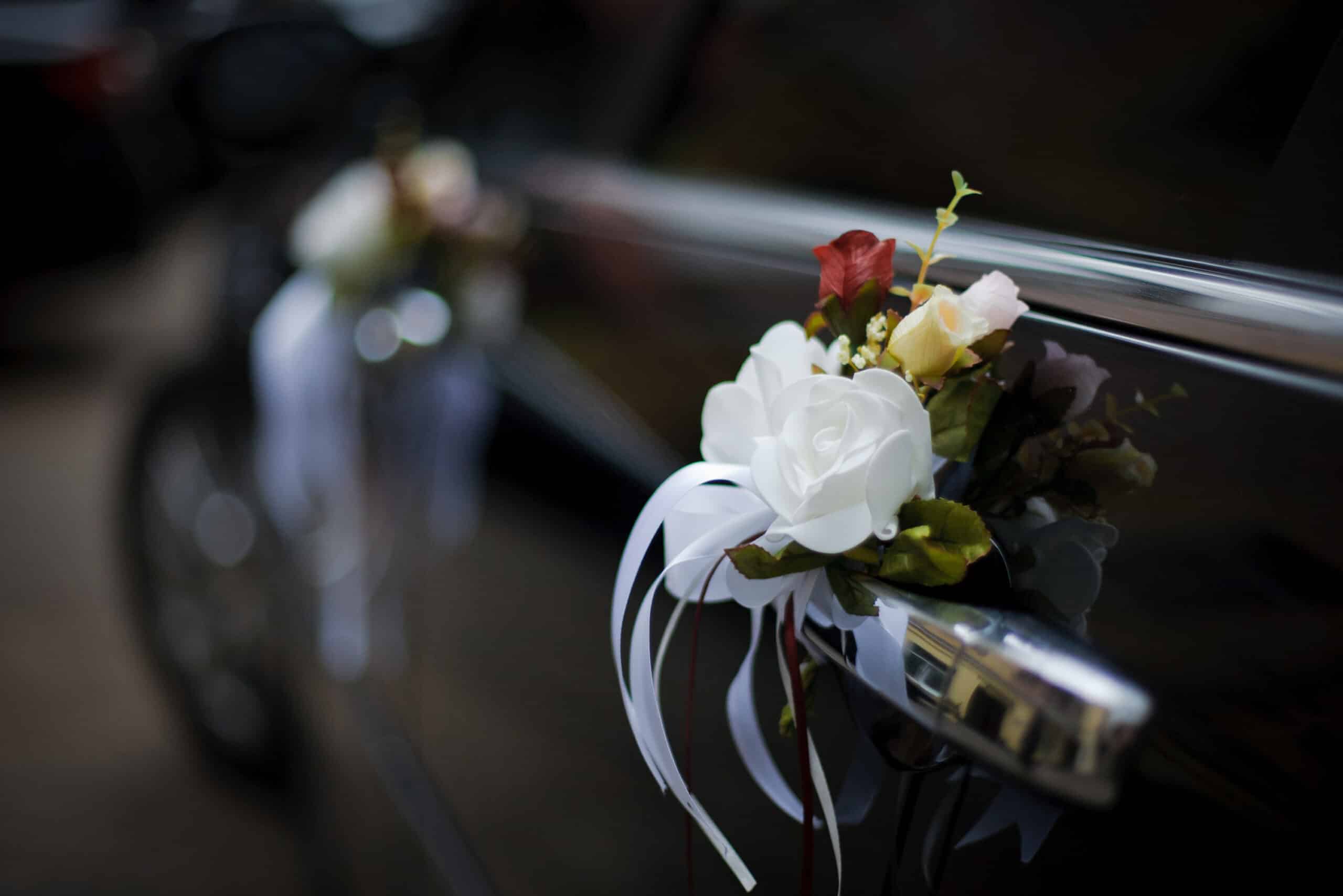 limousine massachusetts